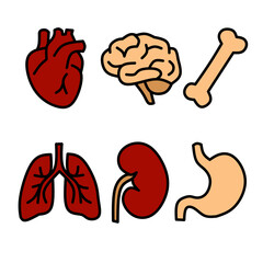 Human Organs Anatomy Icon Set Vector Illustration