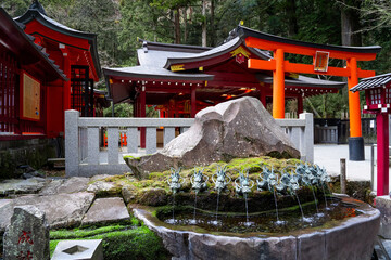 箱根神社　九頭龍神社　境内