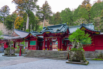 箱根神社　境内2