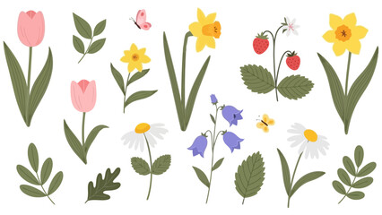 Fototapeta premium Springtime Floral Elements: Tulips, Daffodils, Bellflowers, Daisies, and Strawberries