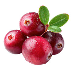 Fresh ripe cranberries with green leaves isolated on transparent background. Juicy red berries with water droplets, healthy superfood concept for nutrition, organic food, antioxidant fruit design use.