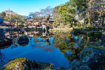佐野美術館の庭園2