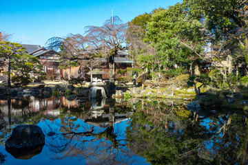 佐野美術館の庭園1