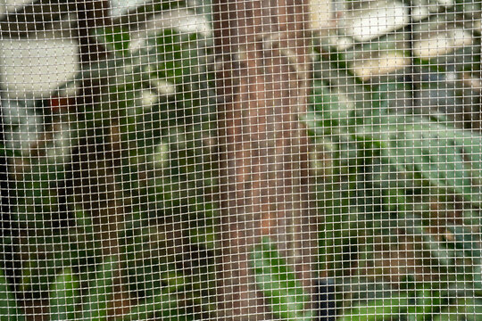 Close-up of a mesh screen with greenery in the background.