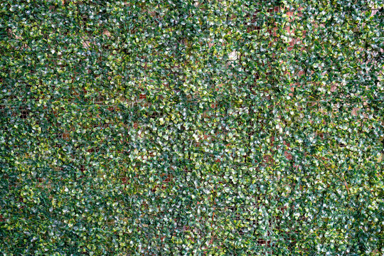 Lush green artificial foliage wall creating an inviting atmosphere.