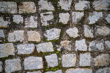 Textured cobblestone pavement with green moss patches.