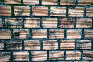 Textured brick wall with distinctive lines and varied coloration.