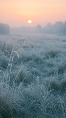 Fototapeta premium Serene frosty sunrise landscape mobile wallpaper