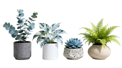 Set of indoor green plants in decorative ceramic pots for modern interior design, isolated on white background, natural houseplants for bedroom and living room decor, minimalist botanical collection