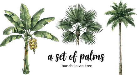 Hand-drawn tropical palm and banana tree vector set with watercolor sketch effect, ideal for summer travel and nature illustrations © Bappi