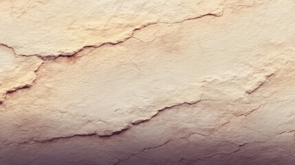 Obraz premium Textured surface with dry crack patterns and soft earthy tones, ideal for backgrounds in design projects and artistic compositions in various styles