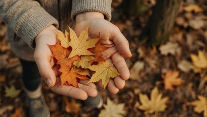 Childs Hands Holding a Pile of Colorful Autumn Leaves in a Forest.