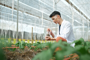 Agronomist checking soil quality in greenhouse
