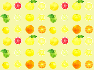 フレッシュな柑橘類のシームレスパターン　手描き水彩イラストの果物柄
