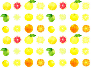 フレッシュな柑橘類のシームレスパターン　手描き水彩イラストの果物柄