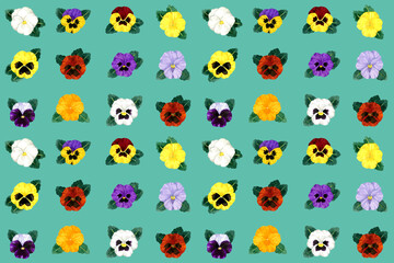 カラフルなパンジーのシームレスパターン　手描き水彩イラストの花柄