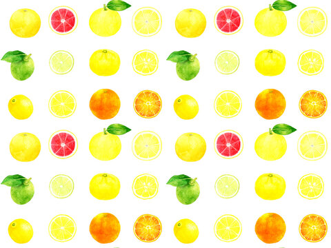 891/抽象画風/柑橘類/F10号 891/抽象画風/柑橘類/F10号891/抽象画風/柑橘類/F10号 891/抽象画風