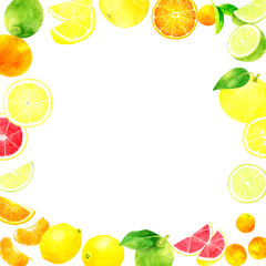 フレッシュな柑橘類のフレーム　果物の手描き水彩イラスト素材