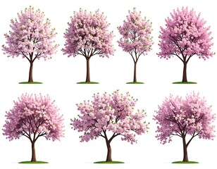 Fototapeta premium Assortment of blossoming trees, digitally rendered, showcasing vibrant pink blossoms, on white backdrop