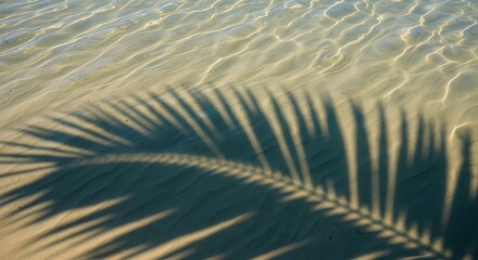 Soft Water Ripples with Tropical Palm Shadow &mdash; elegant natural texture design