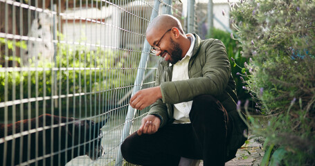 Fence, man and dog at shelter for animal adoption with bonding, volunteer service or companion search. Happy, black person and puppy at pet rescue with connection for kindness, ngo and canine foster.