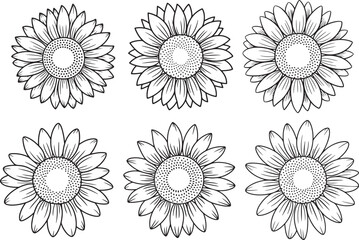 Set of sunflowers black outline, hand drawn vector floral elements in line art style