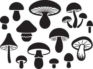 Set of various wild mushrooms silhouettes with different caps and stalks on forest floor