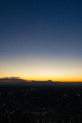 東京都庁からの夜景