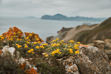 Moody view of Mount Dzhan-Kutaran in Crimea, with soft clouds, rugged slopes, and a calm, misty mountain atmosphere.