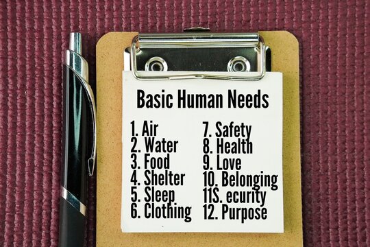 Among the basic human needs are Water, Food, Shelter, Sleep, Clothing, Safety, Health, Love, Belonging, Security and Purpose.