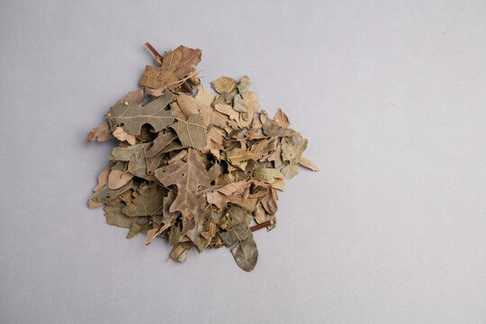 Macro Still Life of Dried Hawthorn Leaves and Flowers (Crataegus spp.) Used Extensively in Traditional Heart Health Herbal