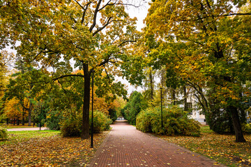 Obraz premium Brick path through a beautiful autumn park with colorful trees and fallen leaves on ground. Outdoor nature scenery for season change concept.