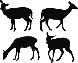 vector set of black standing and walking doe silhouettes on white background vector illustration