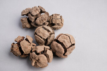Scientific Macro Image of Dried Perforate Flower Heads on Stems: Botanical Detail of a Potential Herbal Medicine Ingredie
