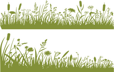 Green silhouette borders of lush wild grass, reeds, and meadow flowers, two detailed natural landscapes for spring, summer, and ecology design