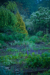 Fototapeta premium A peaceful garden showcases bright flowers and greenery, embodying spring's beauty