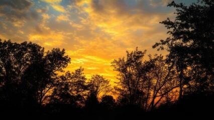 Fototapeta premium Vibrant Golden Sunset Sky with Silhouetted Trees and Dramatic Clouds.