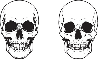 Skull illustration featuring two different angles for anatomical study and design purposes, black Human Skull Vector Illustration