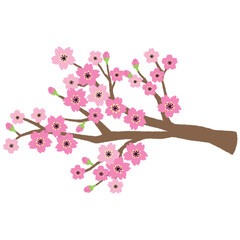 桜の木の枝のイラスト