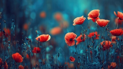 Obraz premium Vivid scarlet blossoms emerge from a deeply colored, blurred floral setting.