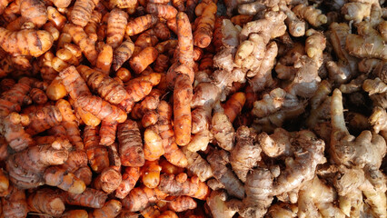 Close up View of Turmeric roots and Ginger