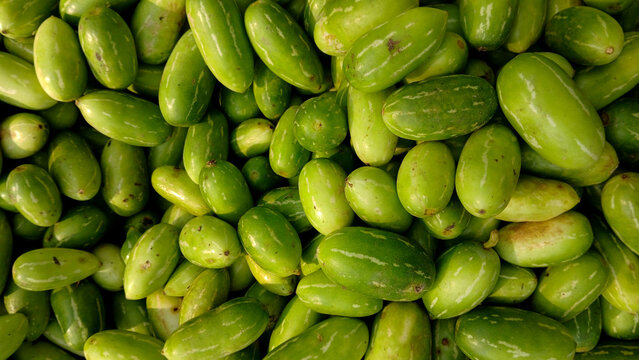 Close up view of Ivy Gourd, 