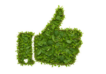 Green thumbs up symbol design