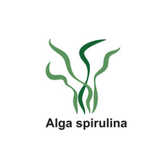 Underwater Spirulina Seaweed Isolated on White