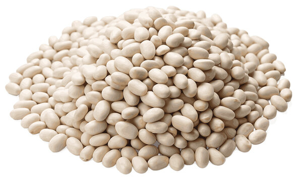 White navy beans cluster, high resolution, white background