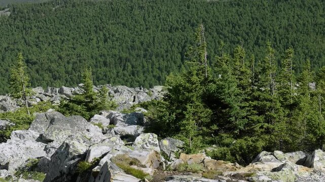 Southern Urals, Zyuratkul National Park: kurums on Bolshoy Uvan Mountain.