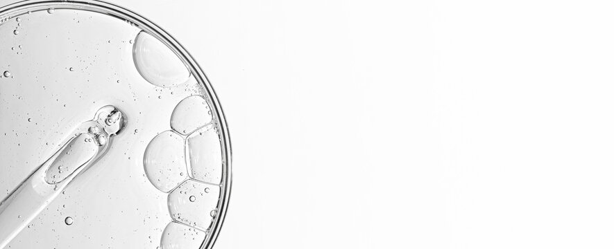Cosmetic moisturizing gel or skin serum in a petri dish. Copy space
