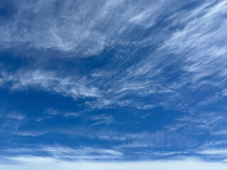 Naklejka premium Sky with cirrus delicate clouds.