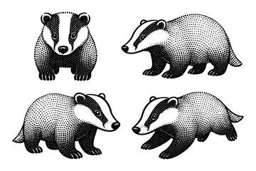 Obraz premium Vintage dot art badger collection: detailed wildlife illustrations in a retro style