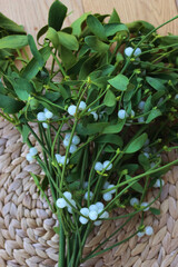 Bunch of Misteletoe branches with white berries on wooden table. Viscum album 